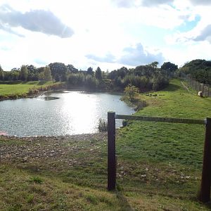 Project Polar habitat 121024