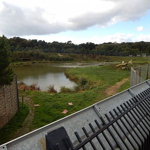 Project Polar habitat 121024