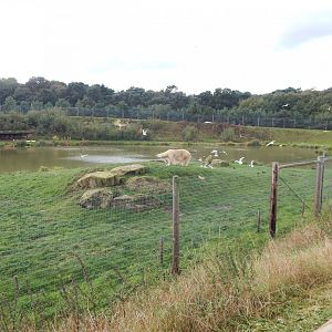 Project Polar habitat 121024