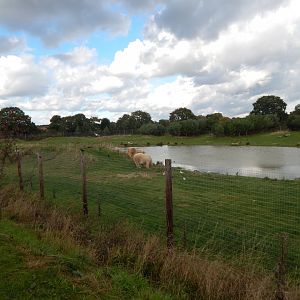 Project Polar habitat 121024