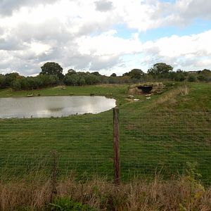 Project Polar habitat 121024