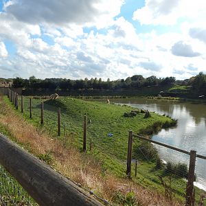 Project Polar habitat 121024