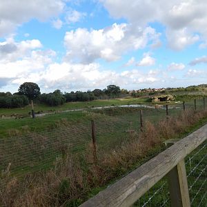 Project Polar habitat 121024