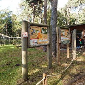 Woodland Trail - Lemur Woods 121024