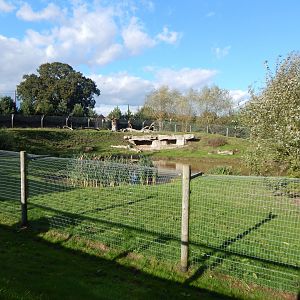 Woodland Trail - African hunting dog habitat 121024
