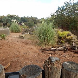 Meerkat habitat 121024