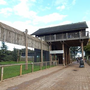 Leopard Heights - Amur leopard habitat 121024