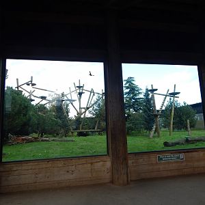 Leopard Heights - Amur leopard habitat 121024