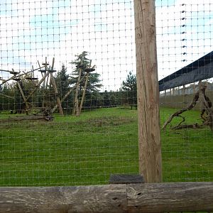 Leopard Heights - Amur leopard habitat 121024