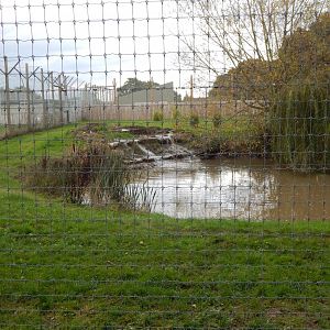 Land of the Tigers - Siberian tiger habitat 121024