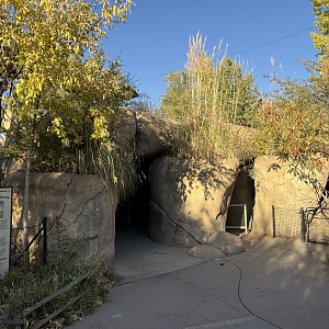 Kopje Entrance - West Yard - High Desert Oasis