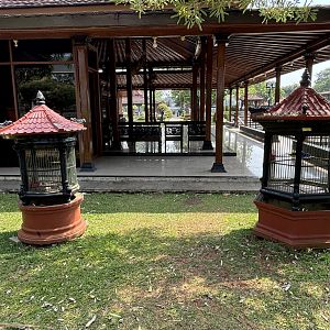 Tiny Bird Cages - Taman Mini Indonesia Indah