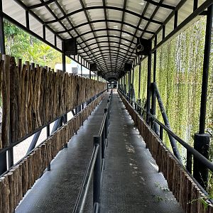 Aquarium Entrance Walkway