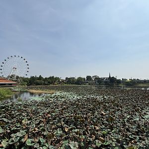 Aquarium Wetlands + Ferris Wheel