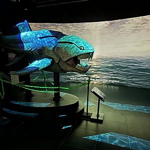 Aquarium - first room