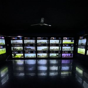 Nusantara Aquarium - lots of tanks!