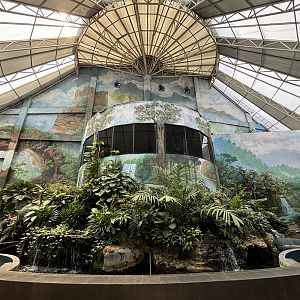 Walk-through Jungle Gallery