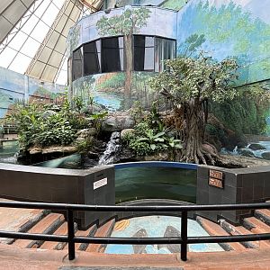 Walk-through Jungle Gallery