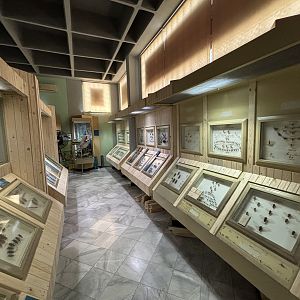 Insect Museum