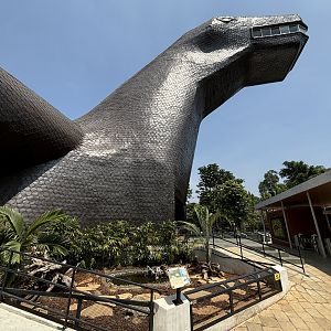 Komodo Museum Reptile Park