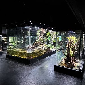 Assorted Exhibits - impressive!