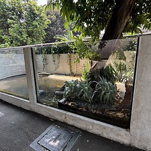 New Guinea Crocodile Exhibit