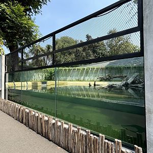 False Gharial Exhibit