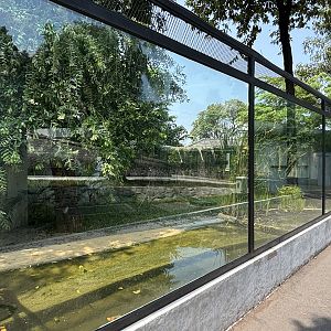 Siamese Crocodile Exhibit