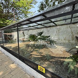 Blue-tailed Monitor + Quince Monitor Exhibit