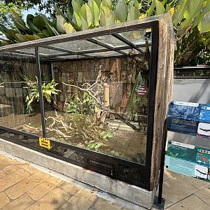 Black Tree Monitor + Emerald Tree Monitor + Timor Monitor Exhibit