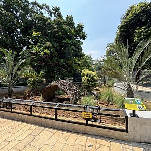 Chelonian Exhibit (3 species)