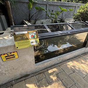 Alligator Snapping Turtle Exhibit