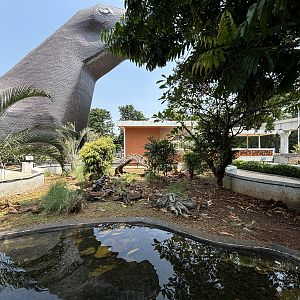 Chelonian Exhibit (3 species)