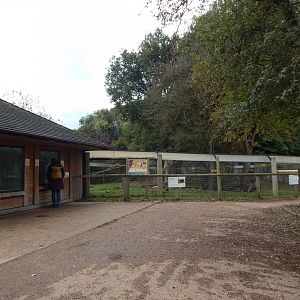 Amazonas - Venezuelan red howler habitat 121024