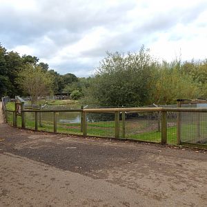 Amazonas - Giant otter habitat 121024