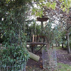 Amazonas Walkthrough 121024