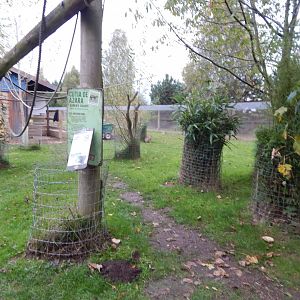 Amazonas Walkthrough 121024