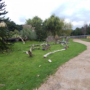 Amazonas Walkthrough 121024