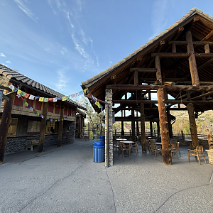 Cat Wok Café and Outdoor Dining - Asian Highlands