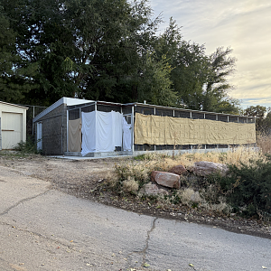 Quarantine/Former Cheetah Holding