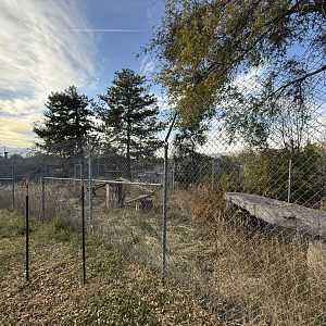 Former Upper Wolf Exhibit (Now Empty) - South Hill