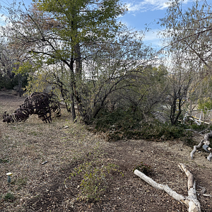 Former Site of 1950's Era Aviaries - South Hill