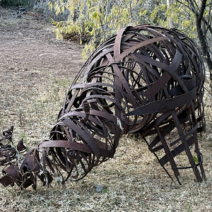 Rhino Statue - South Hill