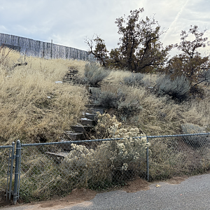 Old Stairs to Former Picnic Area - South Hill