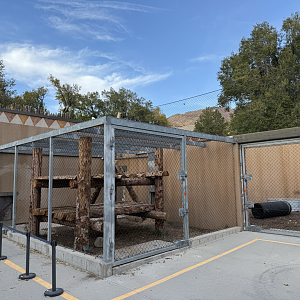 Off-Exhibit Outdoor Holding - Lion's Hill