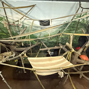 Second Indoor Orangutan Habitat - Great Apes