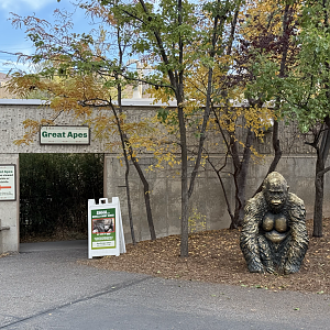 Entrance - Great Apes