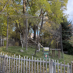 Second Outdoor Habitat - Primate Forest