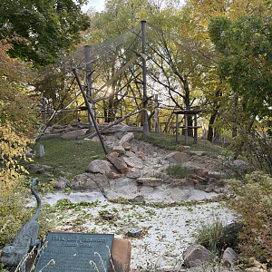 First Outdoor Habitat - Primate Forest