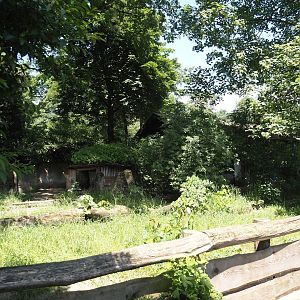 Giant anteater and Lowland tapir exhibit, 2024-06-08
